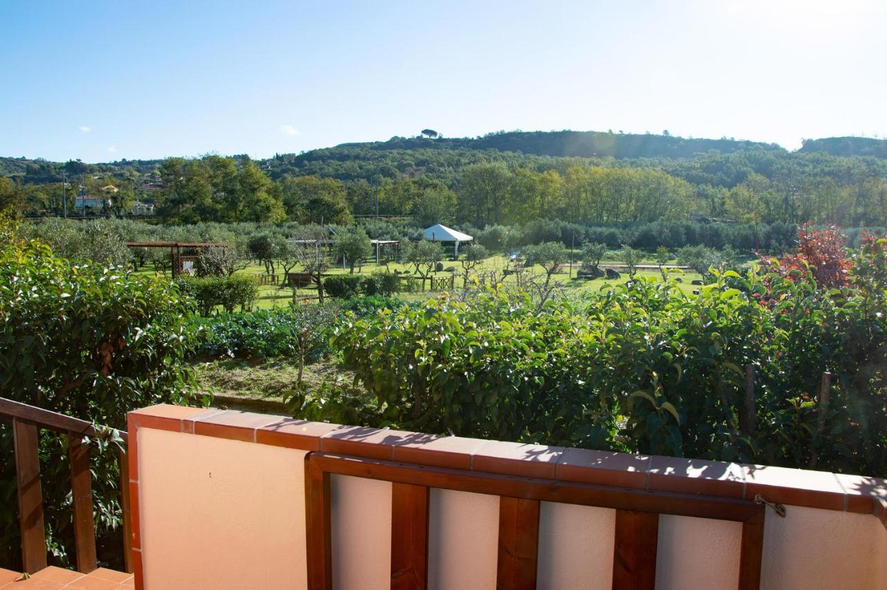 Iscairia Country House Ascea Ngoại thất bức ảnh
