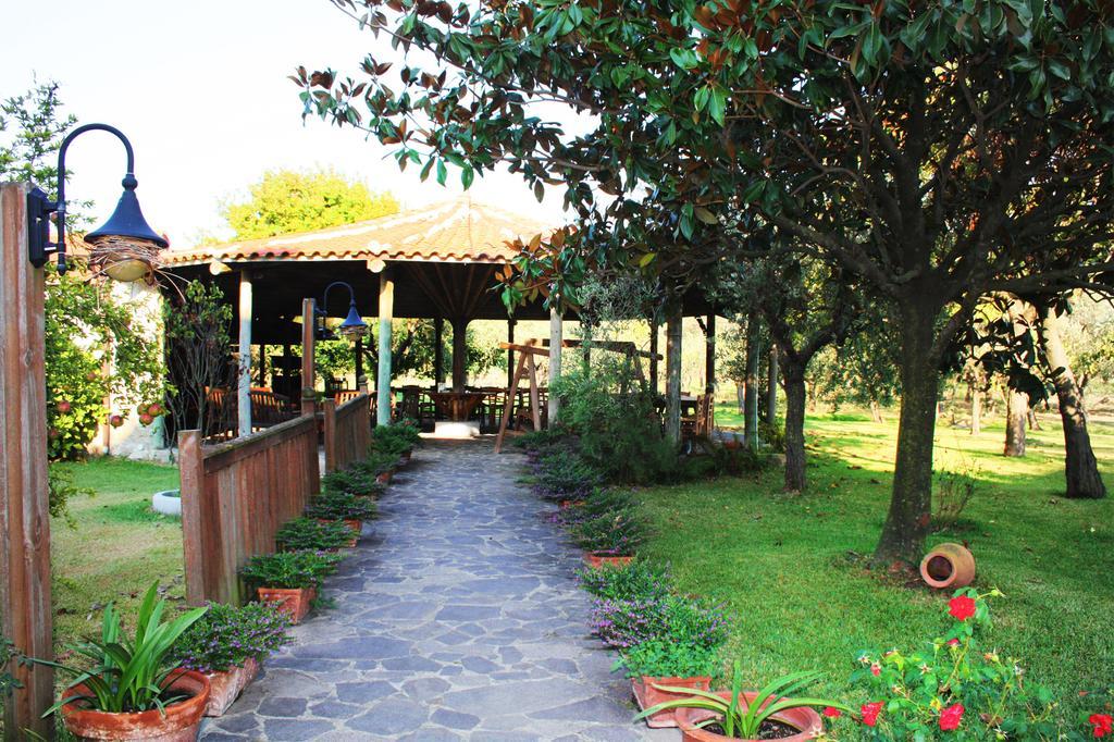 Iscairia Country House Ascea Ngoại thất bức ảnh